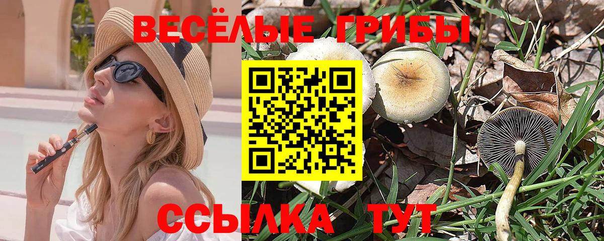 Псилоцибиновые грибы мицелий  Вход с VPN  Анжеро-Судженск 