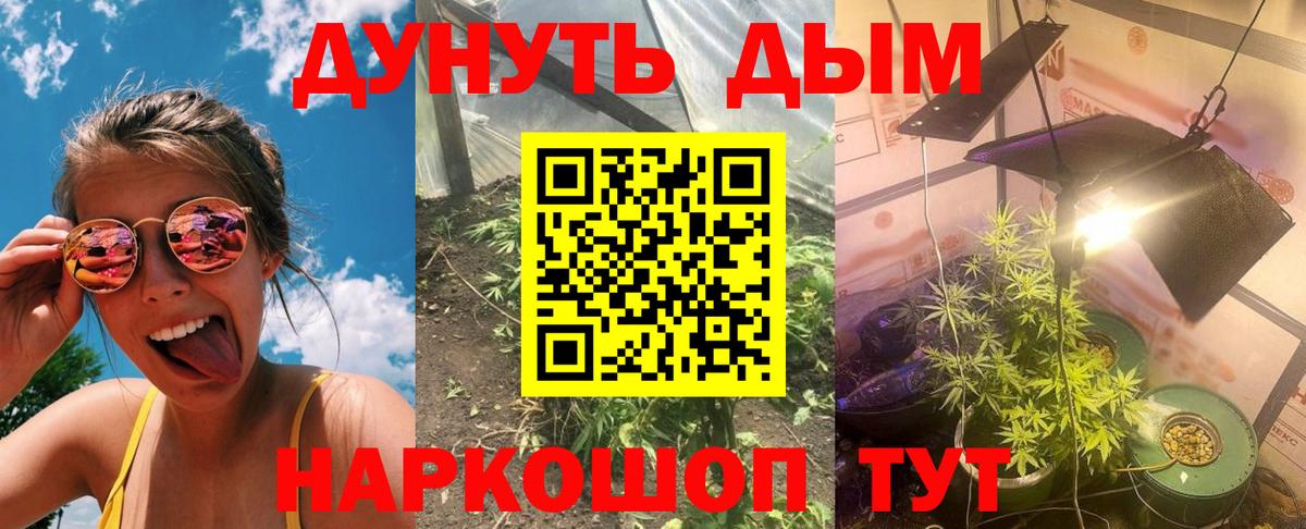 Анжеро-Судженск  Шишки марихуана VHQ  Вход с VPN  Бошки марихуана THC 21% 